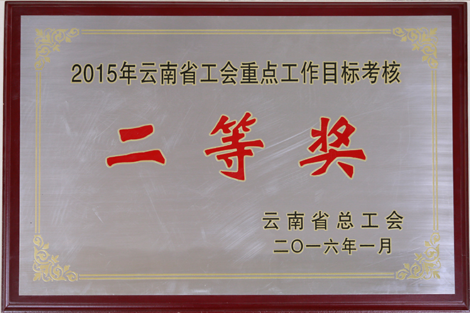 2015云南省总工会授予工投二等奖